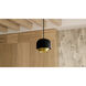 Frankie 3 Light 12 inch Matte Black Pendant Ceiling Light