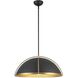 Dahlia 1 Light 17.62 inch Black and Brushed Brass Pendant Ceiling Light