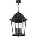 Hamilton 3 Light 12.5 inch Textured Black Outdoor Pendant Lantern
