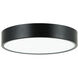 Plato LED 11 inch Black Flush Mount Ceiling Light