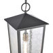 Marquis 1 Light 9 inch Matte Black with Chemical Oz and Clear Outdoor Pendant