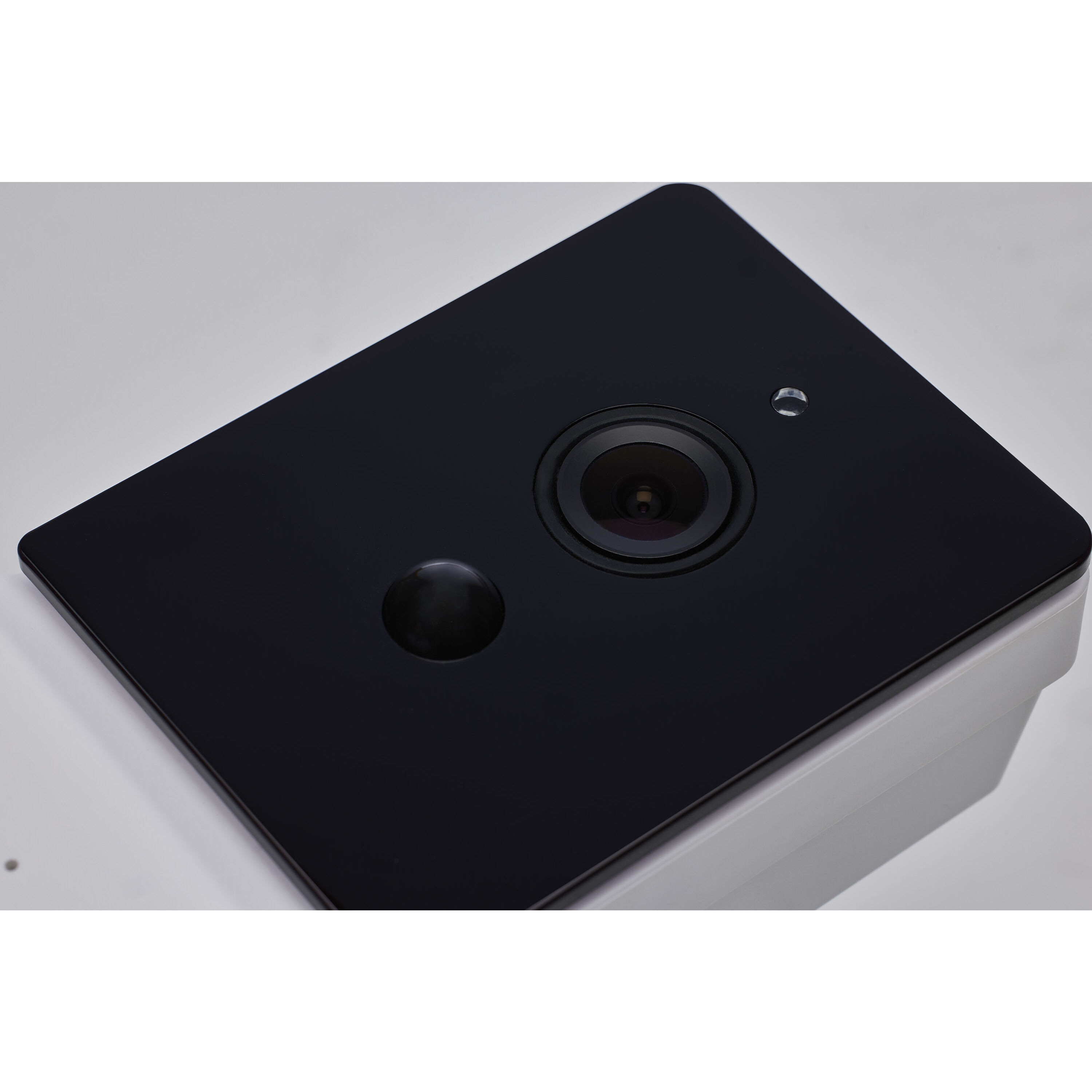 Brentwood Black and White Outdoor Security Light