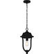 Mulberry 1 Light 9 inch Matte Black Outdoor Hanging Lantern