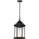 Sevier 1 Light 9.38 inch Antique Bronze Outdoor Pendant