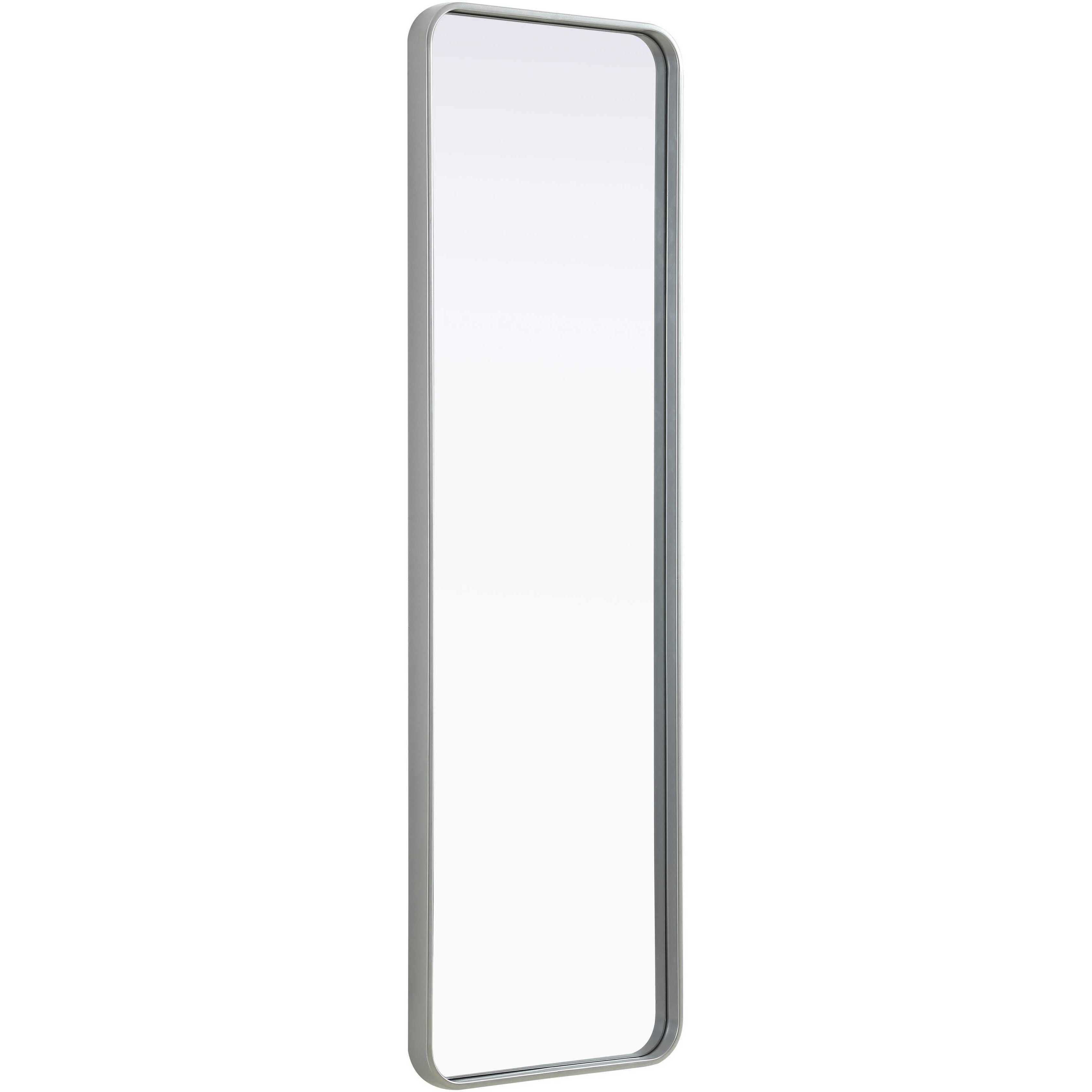 Remy 60 X 18 inch Silver Mirror