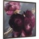 Plum Ranculus Deep Plum and Pink and Smoky Gray and Pale Gold and Green Framed Floral Art