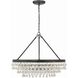 Calypso 6 Light 25 inch Matte Black Chandelier Ceiling Light