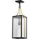 Holden 8.5 inch Black and Gold Outdoor Hanging Light
