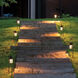 Shelter 12v 1.50 watt Buckeye Bronze Landscape Path Light