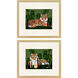 Tiger Tiger Green and Orange and White Framed Art, Propac