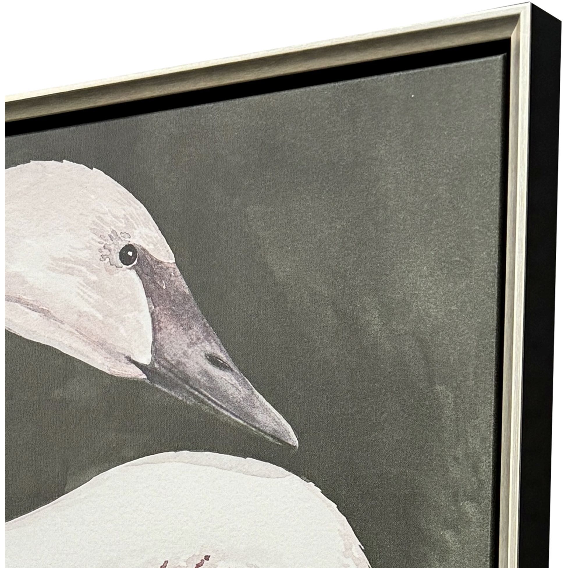 Swan Dance White and Brown and Gray and Green Canvas