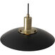 Rancho Mirage 1 Light 12 inch Matte Black and Weathered Brass Pendant Ceiling Light, Small