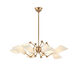 Buckingham 8 Light 34.5 inch Aged Brass Chandelier Ceiling Light