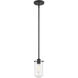 Delaney 1 Light 4 inch Matte Black Pendant Ceiling Light