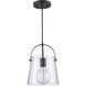 Curry 1 Light 8 inch Black Bell Mini Pendant Ceiling Light