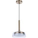 Centric LED 10 inch Satin Brass Pendant Ceiling Light