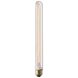 E26 Light Bulb