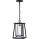 Blackwell LED 8 inch Matte Black Outdoor Pendant