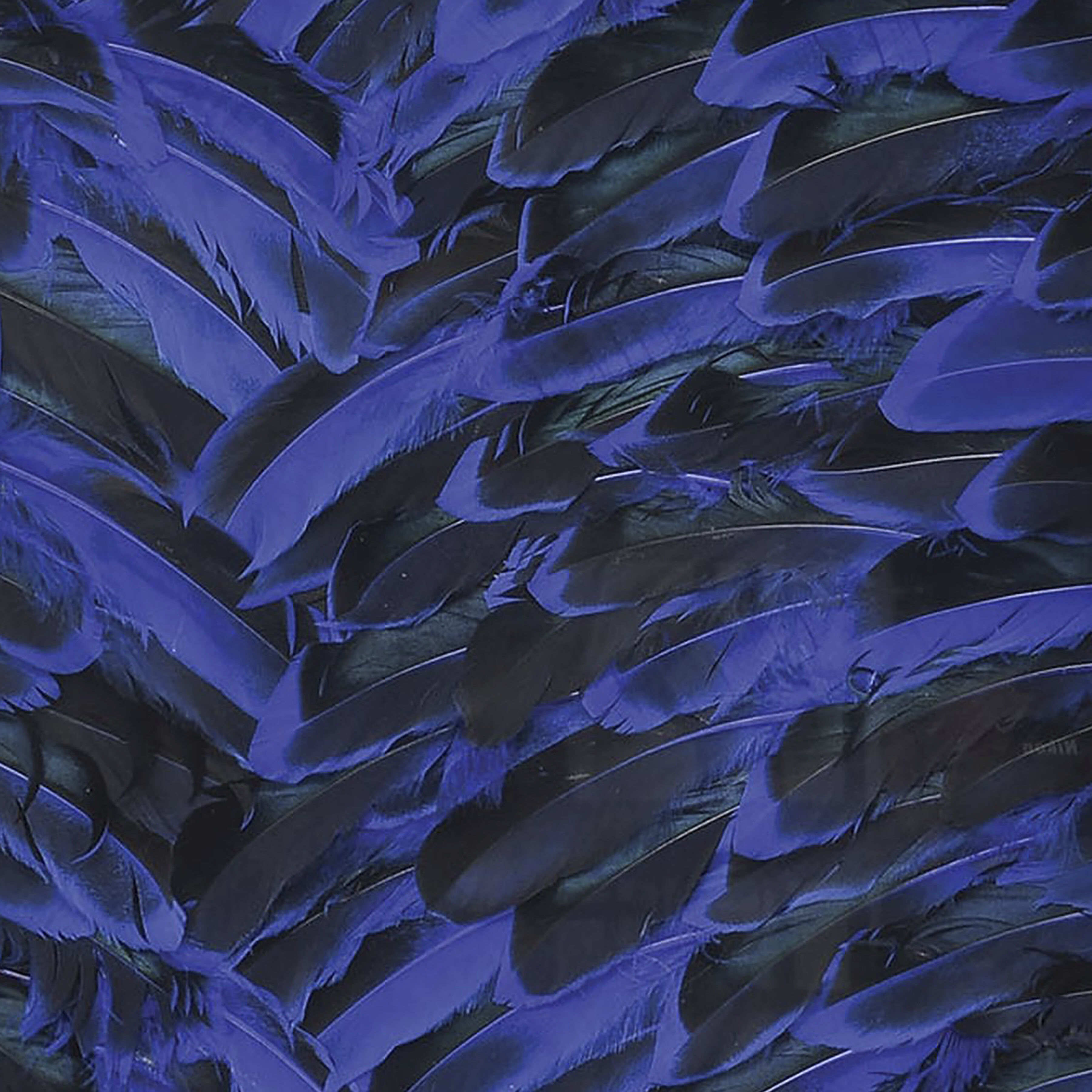 Neon Feather Blue with Black and Clear Dimensional Wall Art