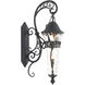 Anastasia Outdoor Wall Sconce Wall Light in Textured Matte Black