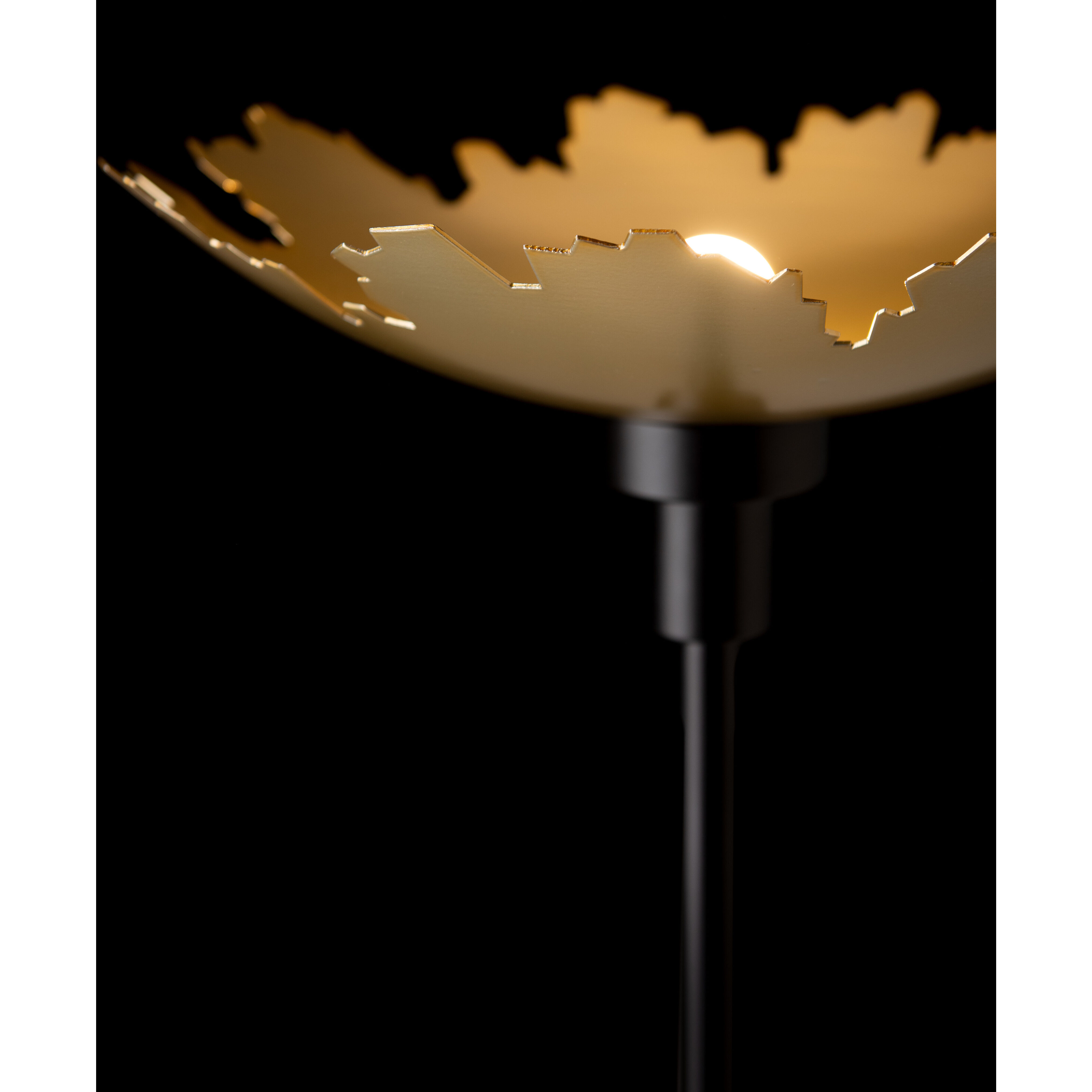 Pangea 83.4 inch 60.00 watt Black with Modern Brass Torchiere Portable Light in Black/Modern Brass