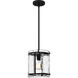 Fortress 1 Light 9.25 inch Earth Black Mini Pendant Ceiling Light