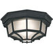 Builder 1 Light 11 inch Black Outdoor Flushmount