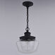 Collins LED 10 inch Matte Black Outdoor Pendant