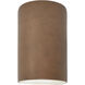 Ambiance Wall Sconce Wall Light in Terra Cotta, Incandescent, Small