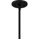 Renee 4 Light 15 inch Matte Black Pendant Ceiling Light