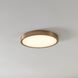 Argyle LED 16 inch Champagne Gold Flush Mount Ceiling Light
