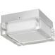 Box LED 5 inch Brushed Stainless Steel Outdoor Flush Mount