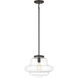 Vintage 1 Light 15.00 inch Pendant