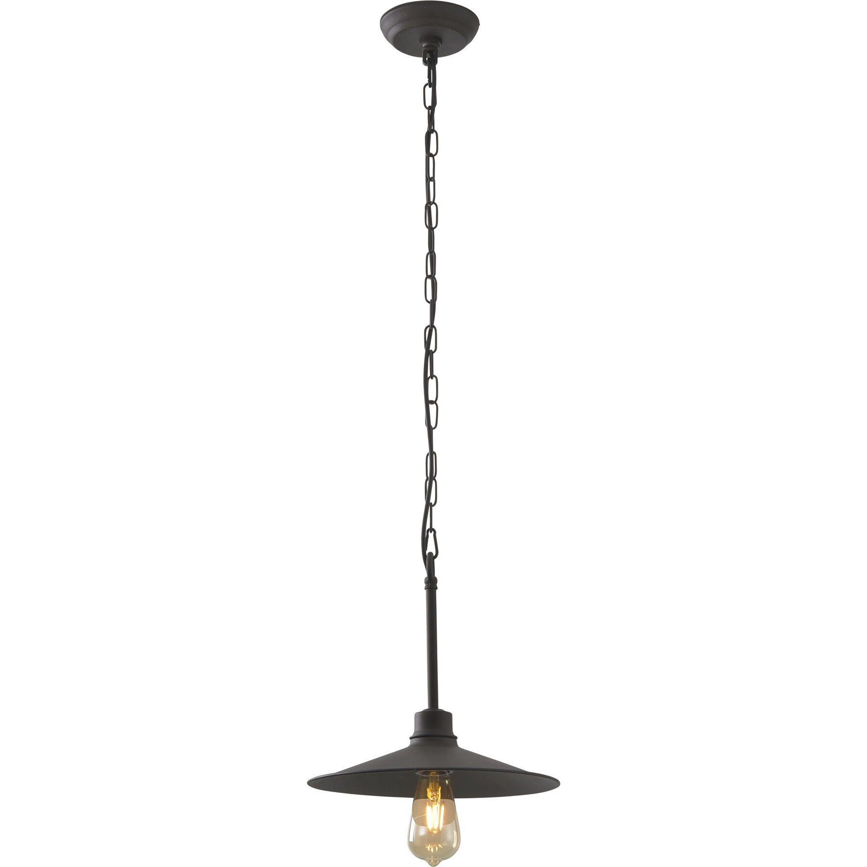 Clayton 1 Light 12 inch Dark Coffee Pendant Ceiling Light