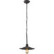 Clayton 1 Light 12 inch Dark Coffee Pendant Ceiling Light