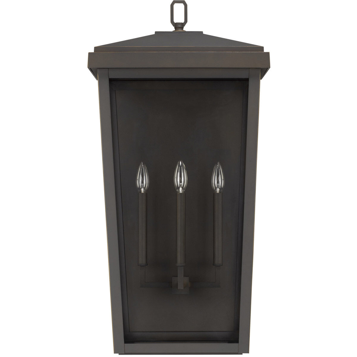 Donnelly 3 Light 16.00 inch Outdoor Wall Light