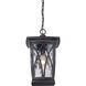 Grover 1 Light 11 inch Mystic Black Outdoor Hanging Lantern