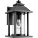 Crusoe 1 Light 12 inch Noir Outdoor Wall Lantern, Clear Seeded