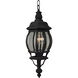 French Style 1 Light 6.5 inch Textured Black Outdoor Pendant, Small