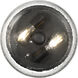 Lindsay 2 Light 12 inch Matte Black Flush Mount Ceiling Light