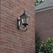 Royal LED 21 inch Brushed Bronze Outdoor Wall Sconce, Solar