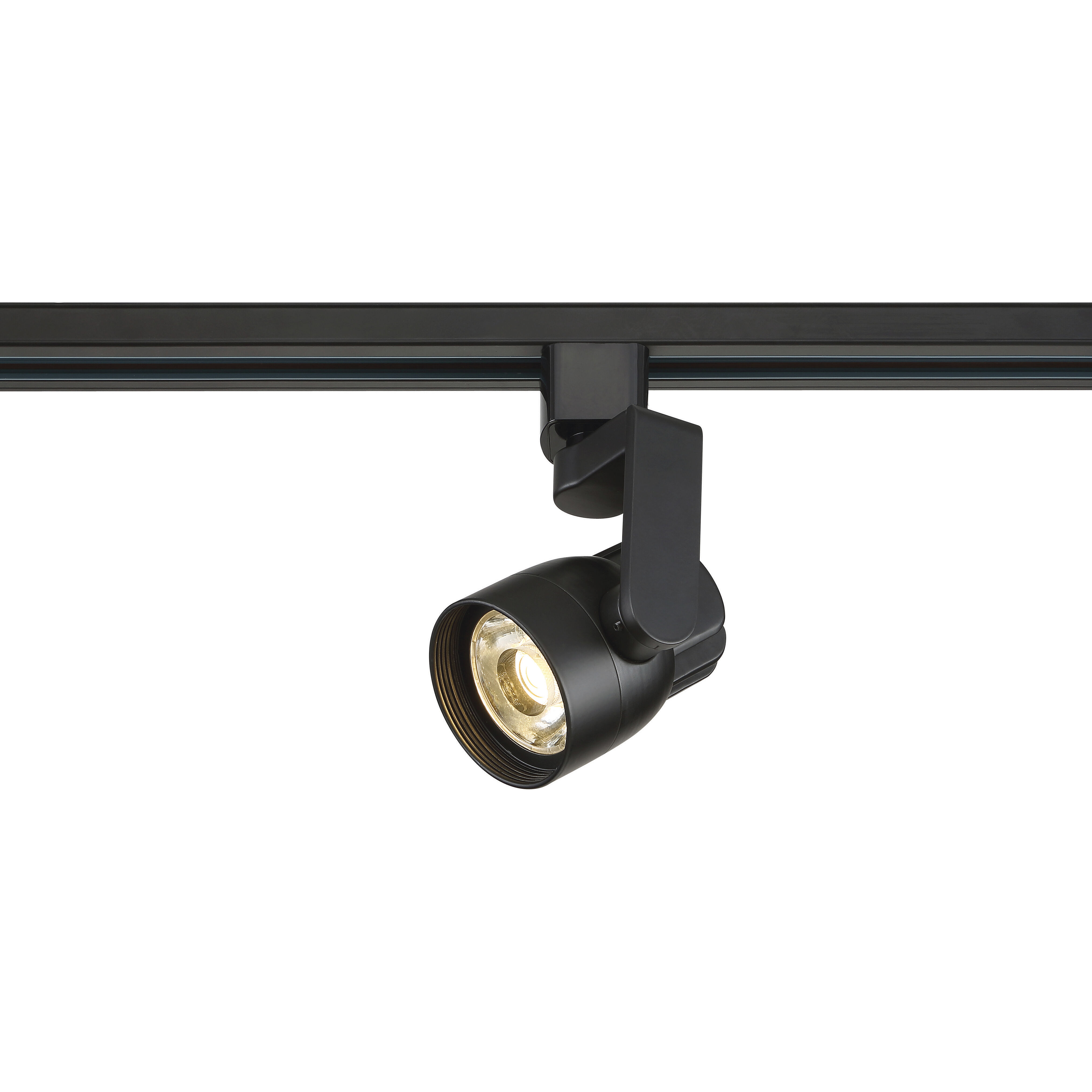 Brentwood 1 Light 120V Black Track Lighting Ceiling Light