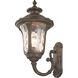 Oxford 1 Light 18 inch Imperial Bronze Outdoor Wall Lantern