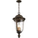 Havenwood 3 Light 9.5 inch Tavira Bronze And Alder Silver Outdoor Hanging Light, The Great Outdoors