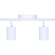 Rexton 2 Light White Track Lighting Ceiling Light