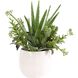 Sundown Succulent Green and White Succulent Accent Planter