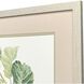Fiddle Fig Leaf Green Framed Art, Propac