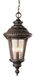 Commons 3 Light 11 inch Black Outdoor Hanging Lantern in Rust 