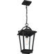 Darius 1 Light 11 inch Earth Black Outdoor Hanging Lantern