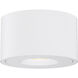 Fulcrum LED 5 inch White Flush Mount Ceiling Light